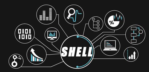 大數(shù)據(jù)開發(fā)工程師的進階之路 精通Shell特殊符號與高效技術(shù)服務(wù)